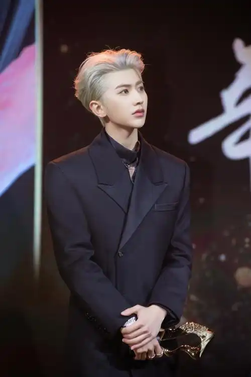 蔡徐坤银发背头