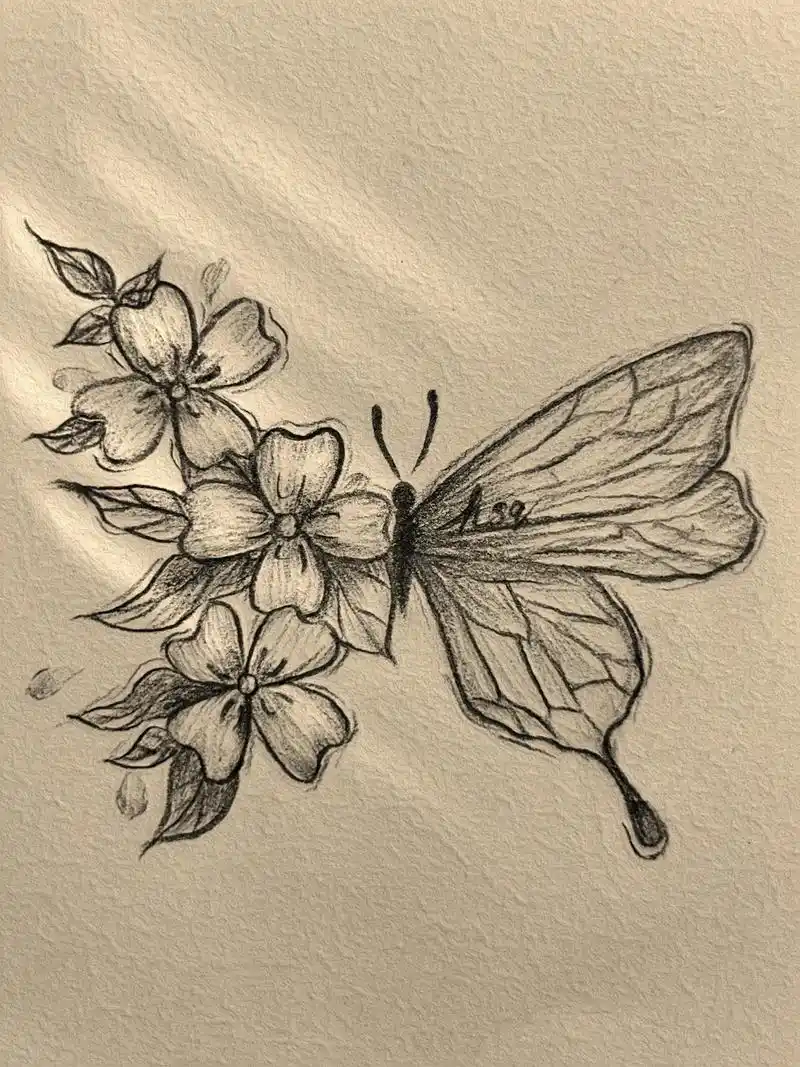"静宁见春 祉猷并茂"#蝴蝶绘画#手绘临摹#绘画过程 - 抖音