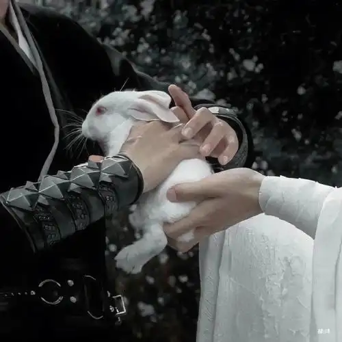 bjix博君一肖氛围感超绝的头像