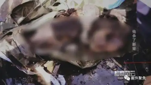 女子葬身火海脖子还插把刀 凶手是新婚3个月的丈夫