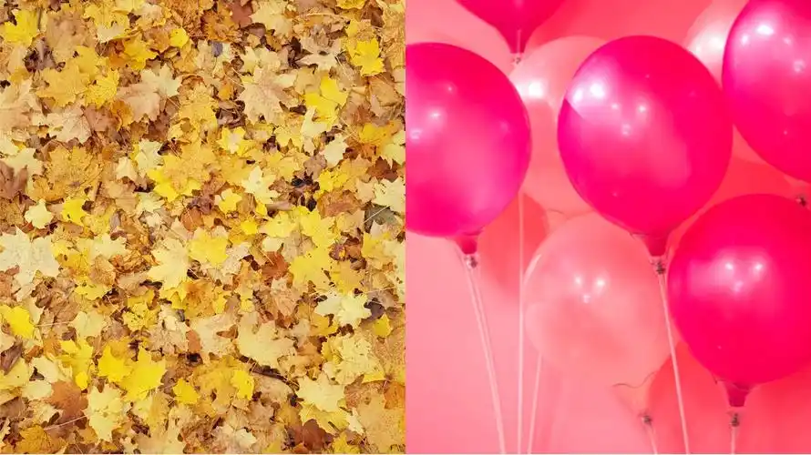 相反,我们换成色系不同的,就会得到这样的照片 所以在生活