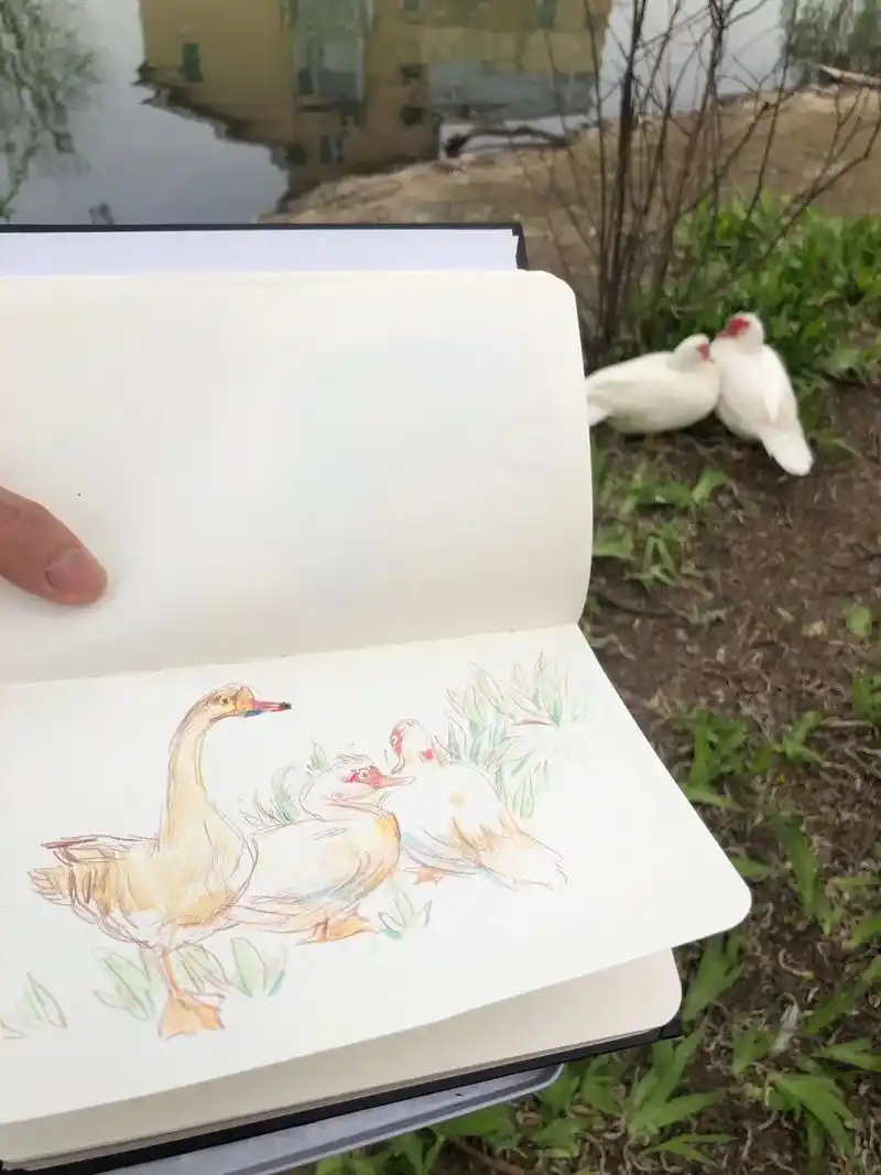 和宝宝一起画鹅 #手绘 #画画 #亲子 #彩铅 #绘画 # - 抖音