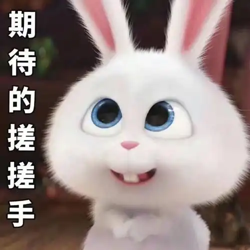 期待的搓搓手爱宠大机密可爱的小白兔字6767676767爱宠大