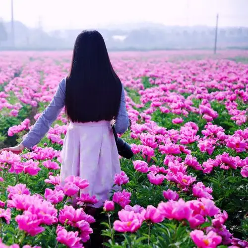 感谢朱老师给我留下美丽的背影