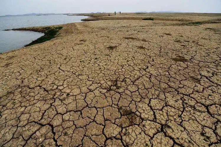 干涸的鄱阳湖
