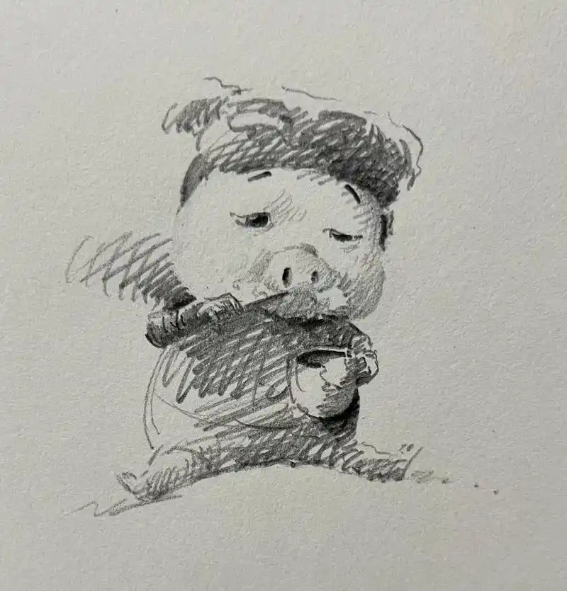 谁教你这么画猪猪侠的?