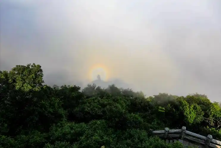 新闻中心 全区要闻 6月14日清晨6-8时,花果山景区山顶惊现"佛光"奇观