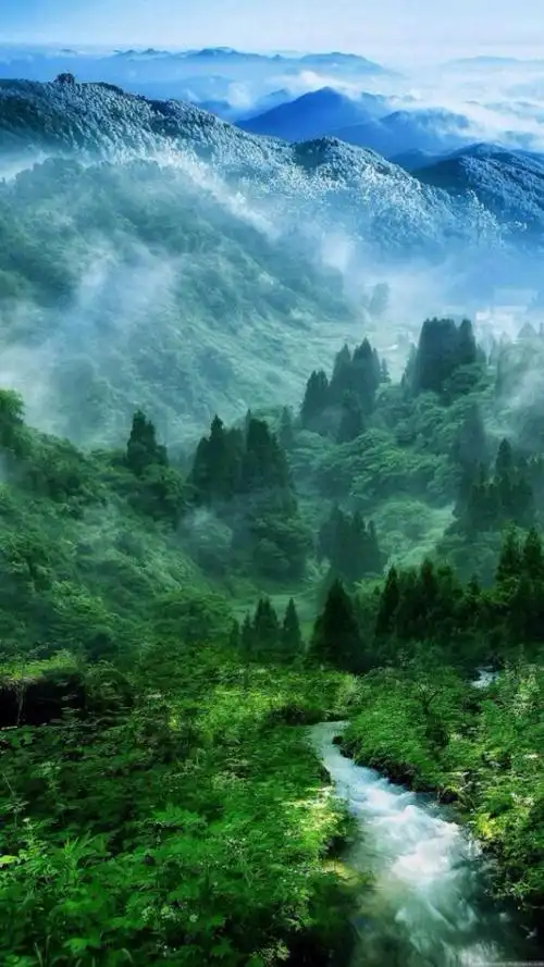 1080_1920竖版 竖屏