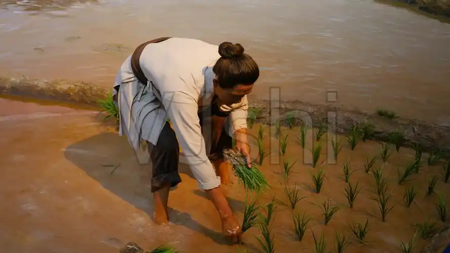 古代耕种劳作蜡像场景_3840x2160_高清视频素材下载(编号:6522672)