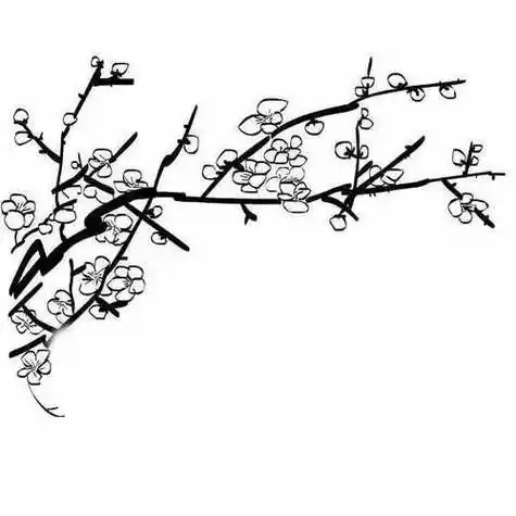 古风简笔画梅花枝
