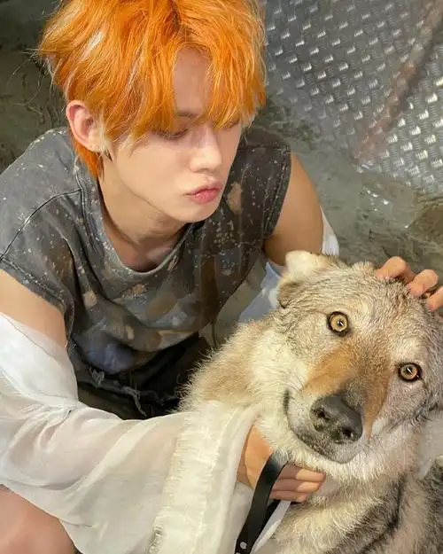 崔然竣五代insking