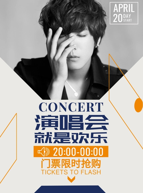 简约风演唱会海报/印刷海报