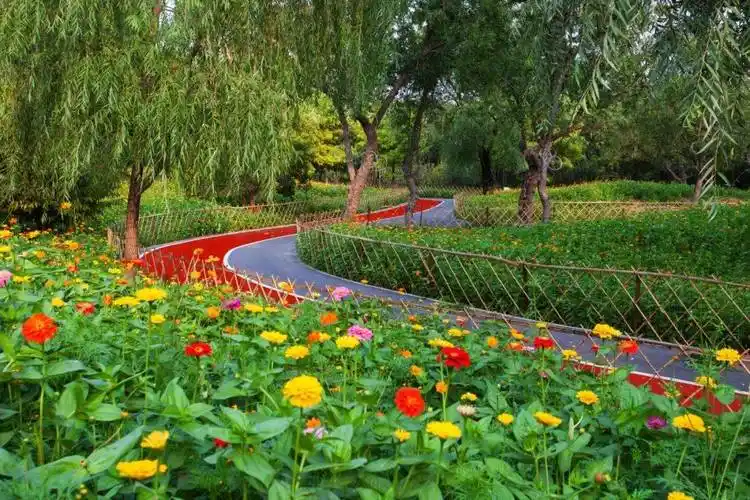 在咱们朝阳,「公园20分钟理论」是真的→_地铁_运动_美景