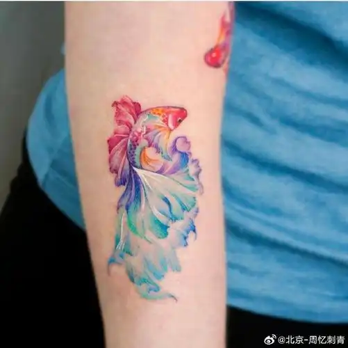 今日纹身图案分享    彩色鱼    #纹身分享##纹身设计##北京纹身店