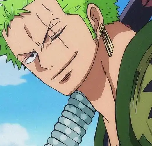 绿藻头索隆索大路痴专用头像