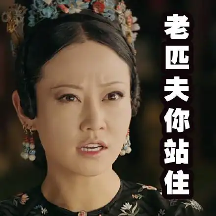 《延禧攻略》高贵妃谭卓表情包