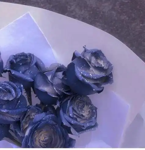 蓝玫瑰头像盛开的不是花是对你漫山遍野的喜欢