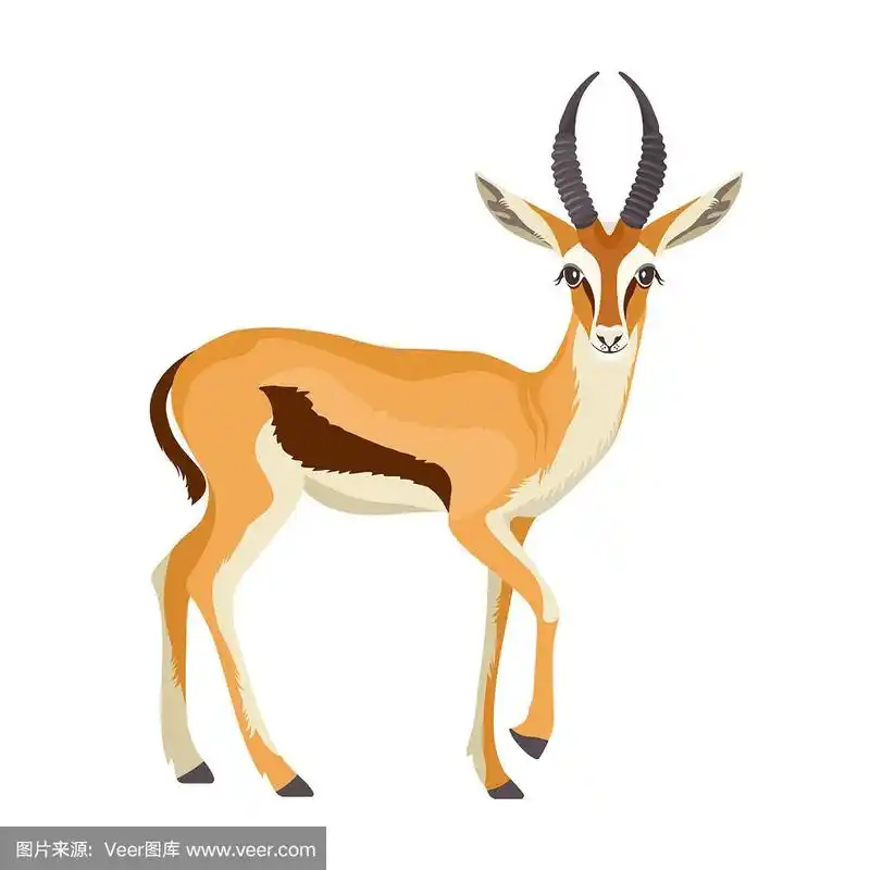 非洲有角的羚羊或羚羊