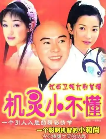 机灵小不懂海报剧照