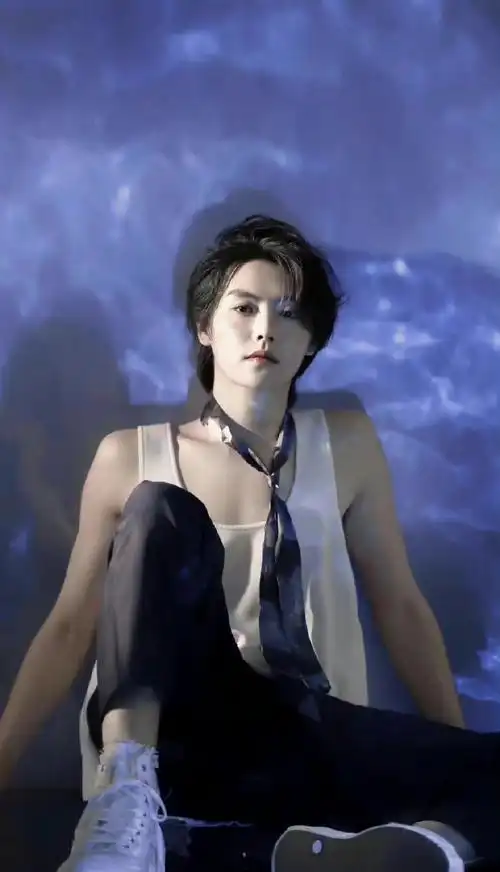 令人心跳的舞台艺人简历征集