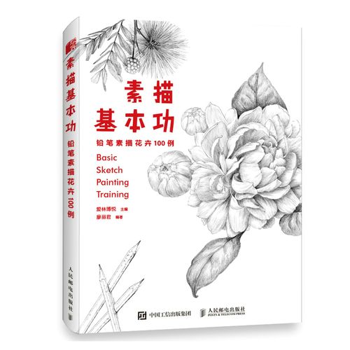 铅笔素描花卉100例 花卉素描书画画入门自学教程手绘花卉线稿插画教程
