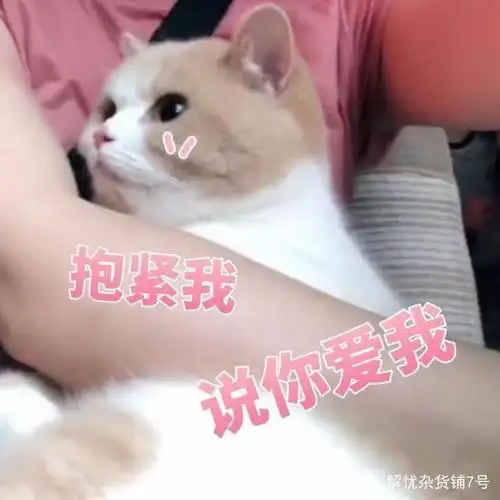 可可爱爱表情包,撩人撩到小心脏,别点进来,看过的人都有对象了