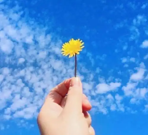 心情好又暖心的句子唯美精致越看越入迷