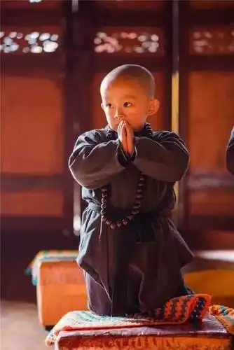 贵州深山中有个"乌龙院" 一群小和尚把人萌化了