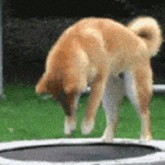 240_240gif 动态图 动图