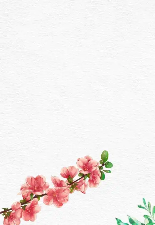 简约花卉广告背景背景素材免费下载(图片编号:7709728)-六图网