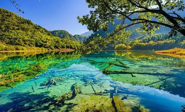 不后悔!这个城市因一个景区改名,你知道吗?|黄山|风景