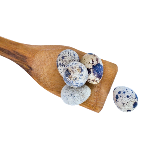 实物食物图片大全