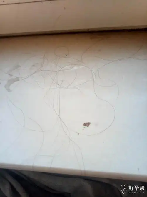 帮我拔了白头发,连黑发也给我拔了