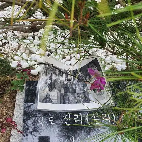 崔雪莉去世一周年众多粉丝前往墓地祭拜现场有人悲鸣哭泣