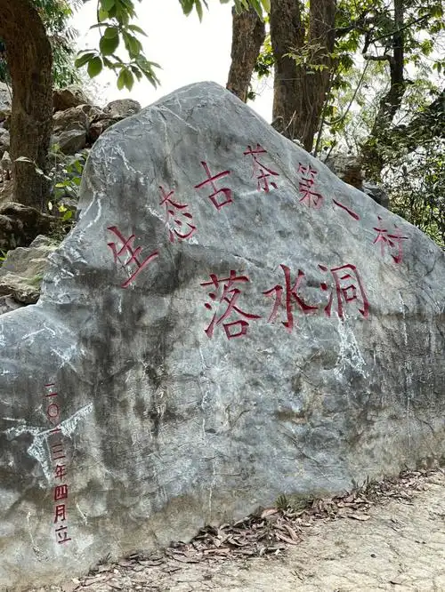 麻黑落水洞新春喝好茶