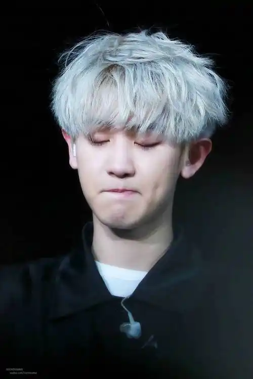 朴灿烈exochanyeol银发可爱