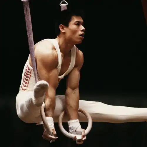 在男子的7个项目中,19岁的中国运动员李宁共获得个人全能,自由体操