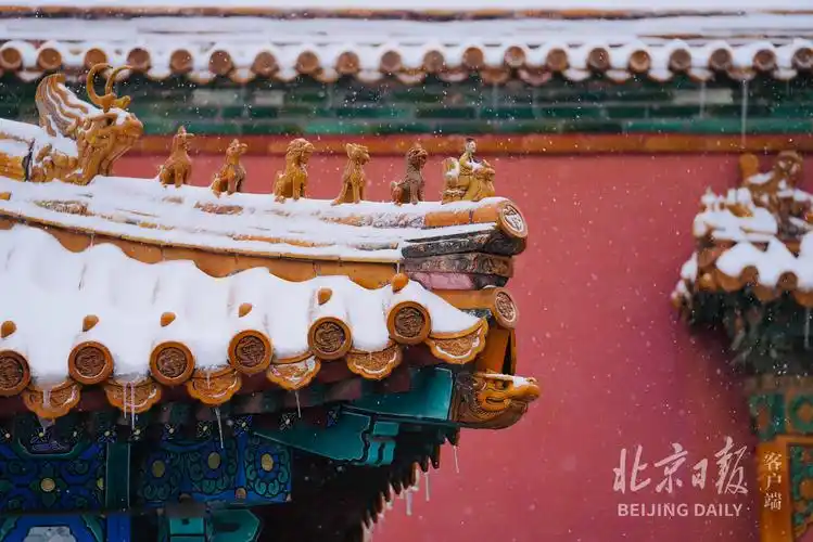 一夜梦回紫禁城今天的故宫雪景大片来了