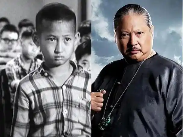 30位港星童年照完全认不出,王祖贤判若两人,张智霖小时间扎辫子