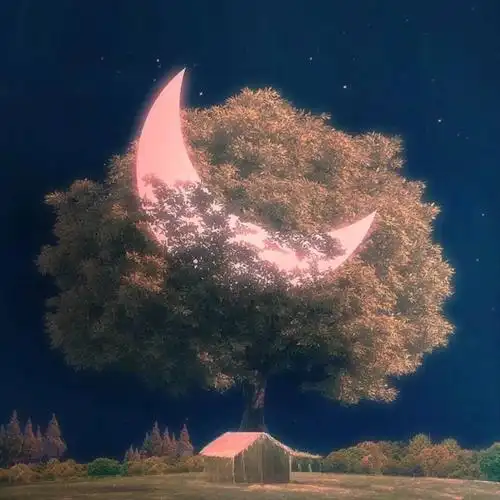 超好看的治愈系头像图片100张_微信头像_头像屋