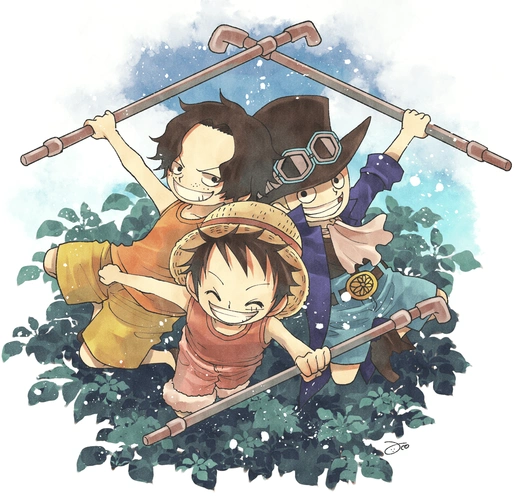 海贼王asl三小只插图_aco