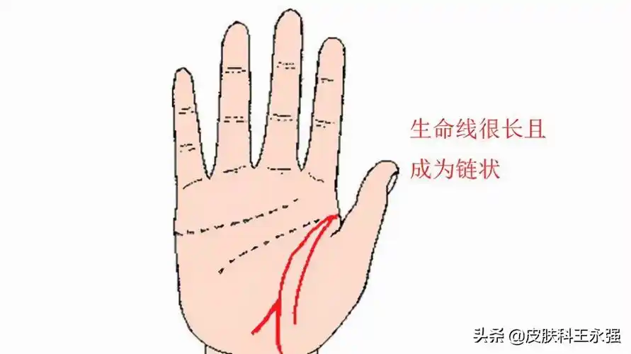 女人短命的手相图片(寿命长短和哪些因素有关) - 赤虎壹号
