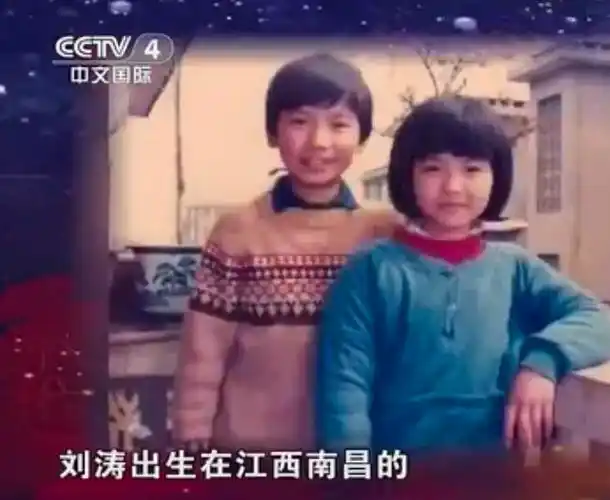 回顾贤惠的刘涛从小家贫又种菜养猪逆袭成名后扶持破产丈夫