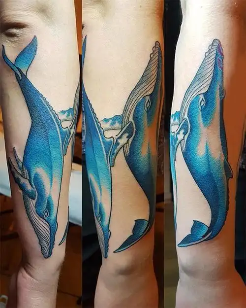 男生手臂上彩绘渐变简单线条小动物鲸鱼纹身图案