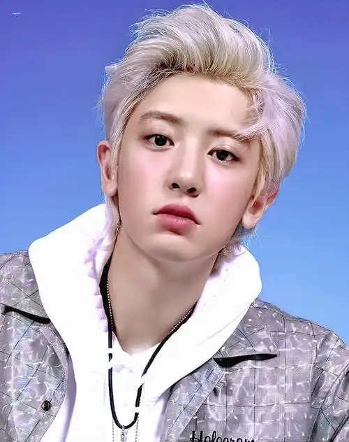 exo 朴灿烈 cr:logo