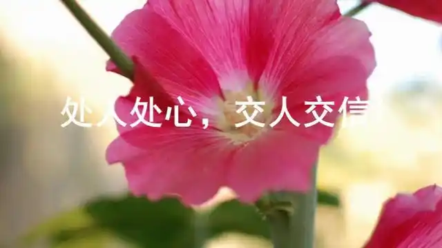 处人处心交人交心
