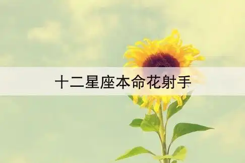 十二星座本命花射手(十二星座驱鬼花是什么花)