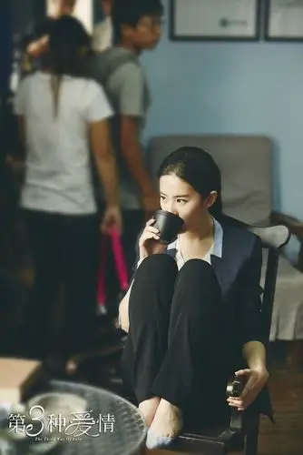 刘亦菲第三种爱情