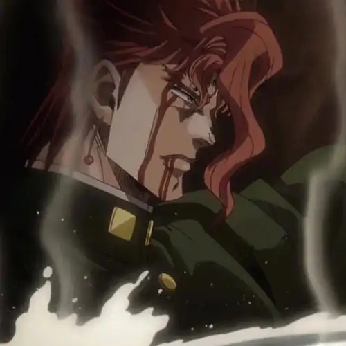 替身百科·花京院典明