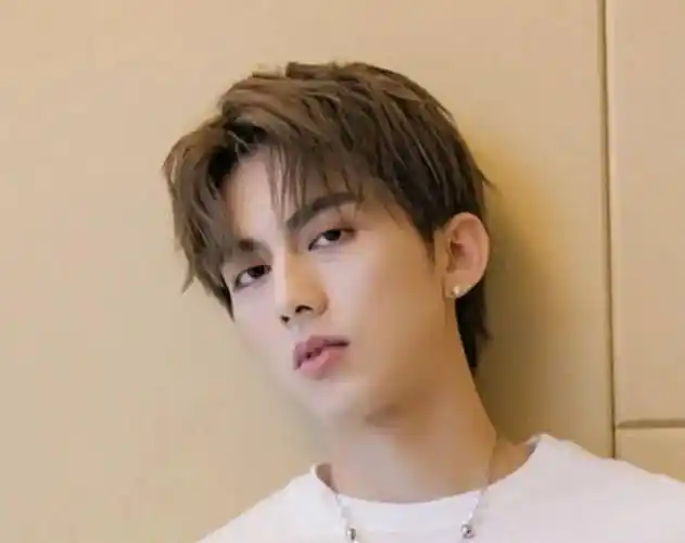 刘昊然"野性"中分短碎发_头发_生活_发型